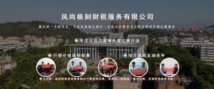 东莞凤岗极刻财税服务有限公司